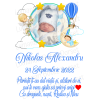 catalog,baieti,poza-bebe 